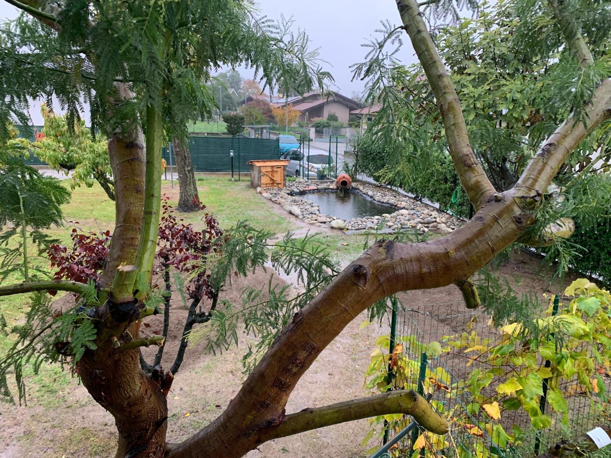 Bed & Breakfast Indi Thelar Villa Guardia Extérieur photo
